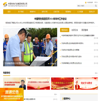 中國有色礦業集團有限公司