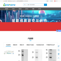 亞科因（Abbkine）