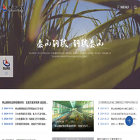山東泰山鋼鐵集團有限公司