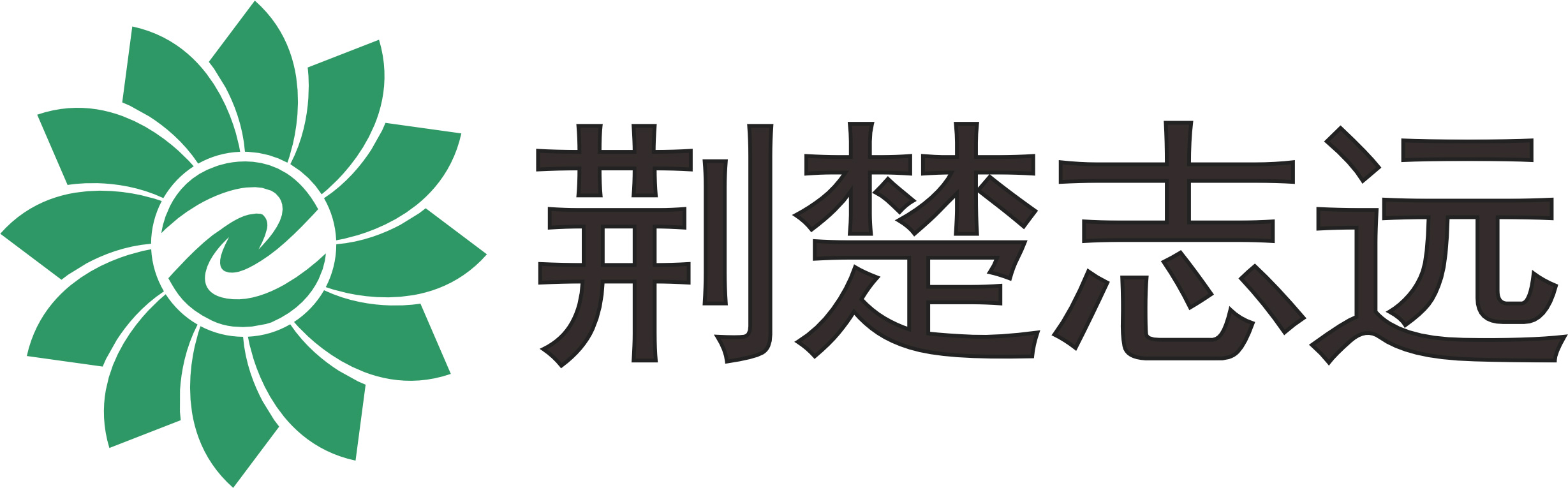 荊門志遠環保設備有限公司